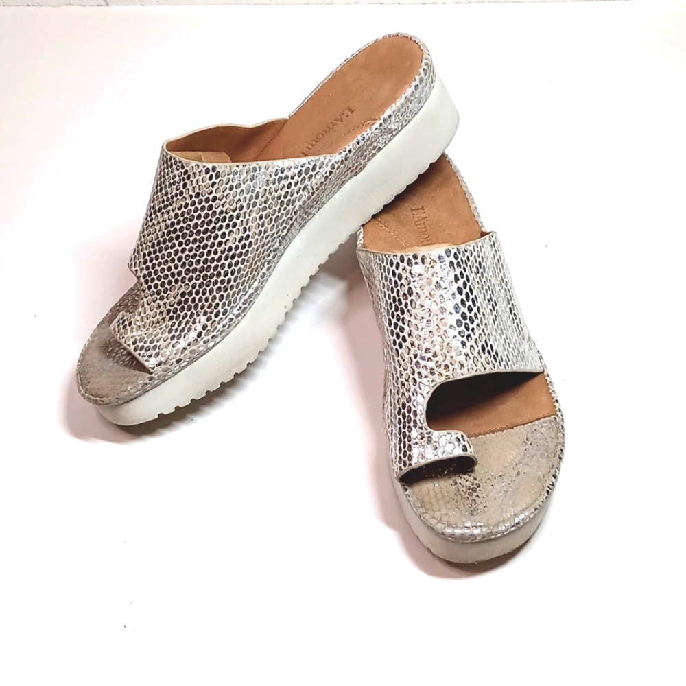 L'AMOUR DES PIEDS Ahlina Platform Sandal Silver Metalic Size 8
